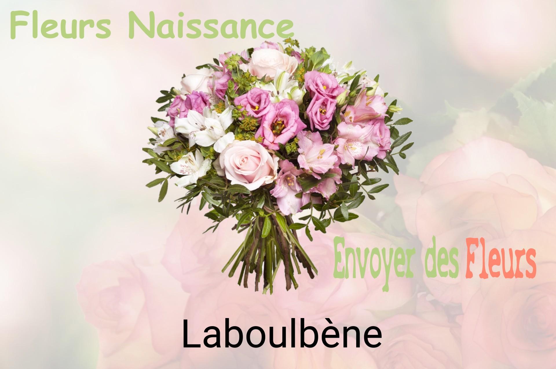 Bouquet de fleurs de naissance livré à Laboulbène